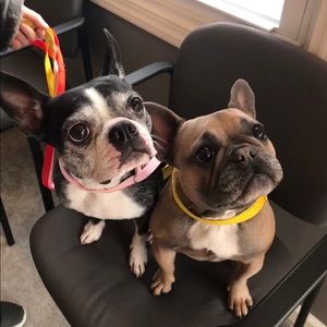 Meet your Posher, Samara